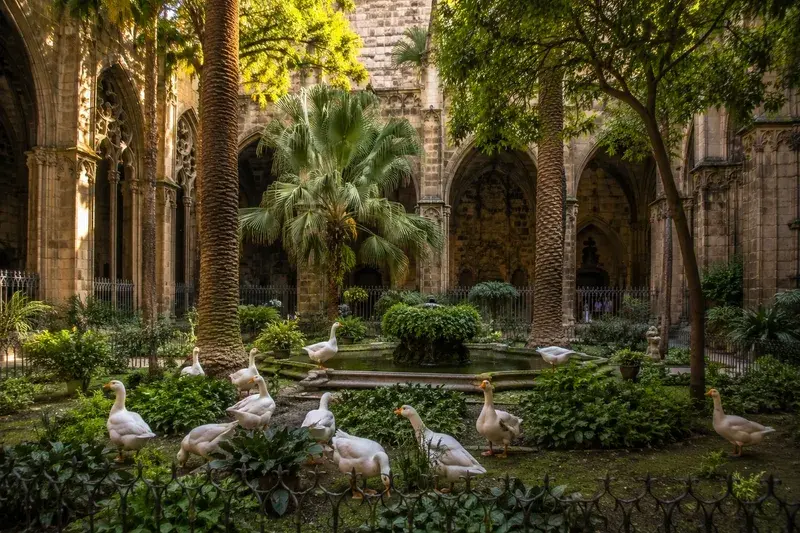 Adventure Quest artwork for the “The Geese of Saint Eulalia” mission in Gothic Quarter Explorer.