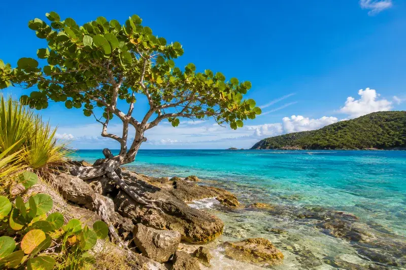 Adventure Quest artwork for the “Tropical Survivor” mission in St. Thomas Explorer.