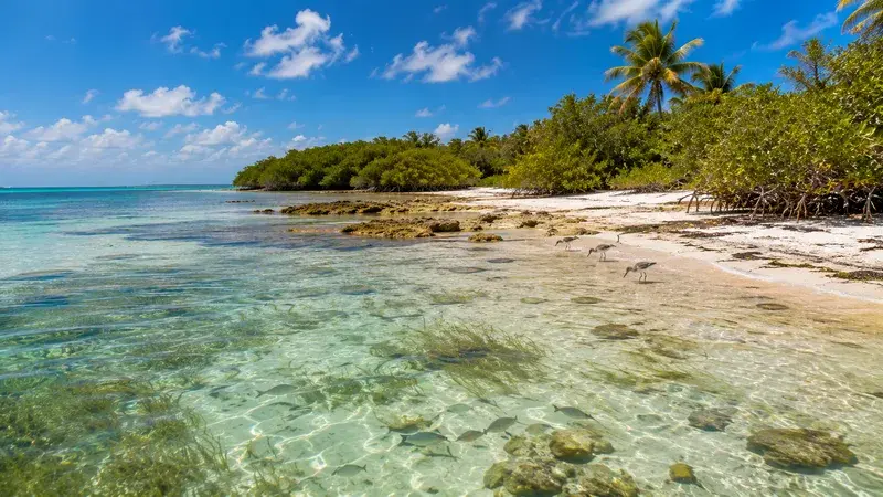 Adventure Quest artwork for the “Where Land Meets Sea” mission in Bahia Honda Explorer.