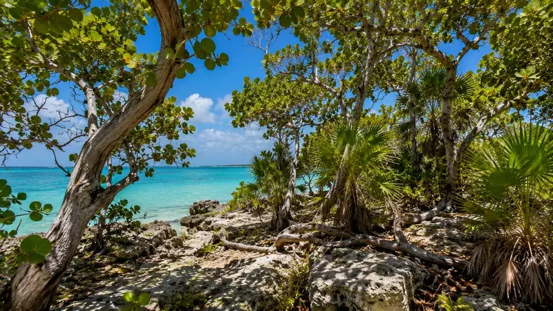 Adventure Quest artwork for the “Island Survivor” mission in Bahia Honda Explorer.