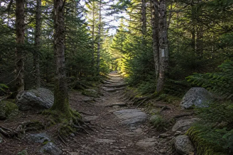 Adventure Quest artwork for the “Where the AT Crosses” mission in Newfound Gap & the Appalachian Trail.