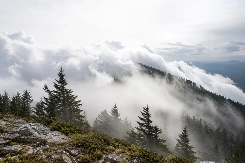 Adventure Quest artwork for the “Cloud Level Living” mission in Newfound Gap & the Appalachian Trail.