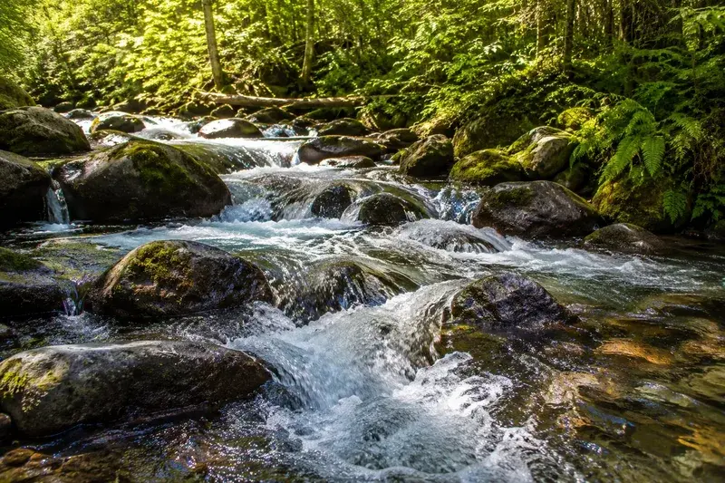 Adventure Quest artwork for the “Stream Sound Science” mission in Roaring Fork Motor Nature Trail.