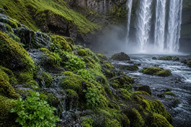 Adventure Quest artwork for the “Wet Green” mission in Waterfalls & Wild Trails.