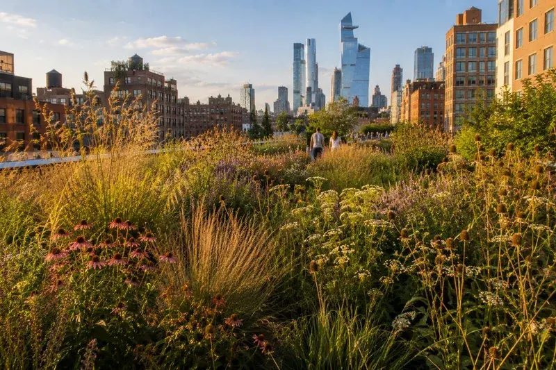 Adventure Quest artwork for the “The Wild Plants That Started It All” mission in The High Line & Chelsea Explorer.