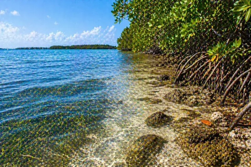 Adventure Quest artwork for the “Coastal Texture” mission in Coastal South Florida.