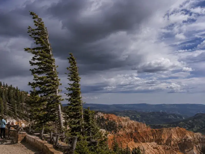 Adventure Quest artwork for the “Cool Mountain Air” mission in Cedar Breaks Overlook Quest.