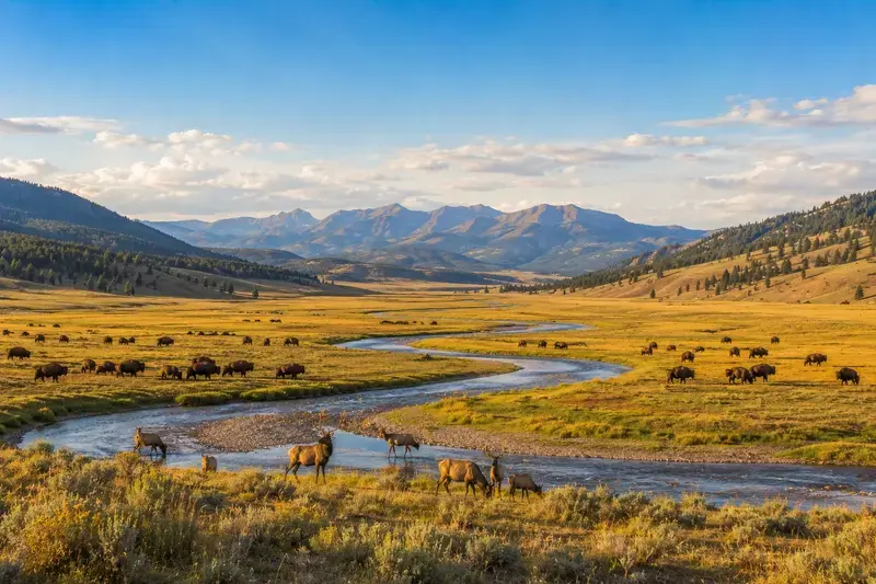 Adventure Quest artwork for the “America's Serengeti” mission in Lamar Valley.