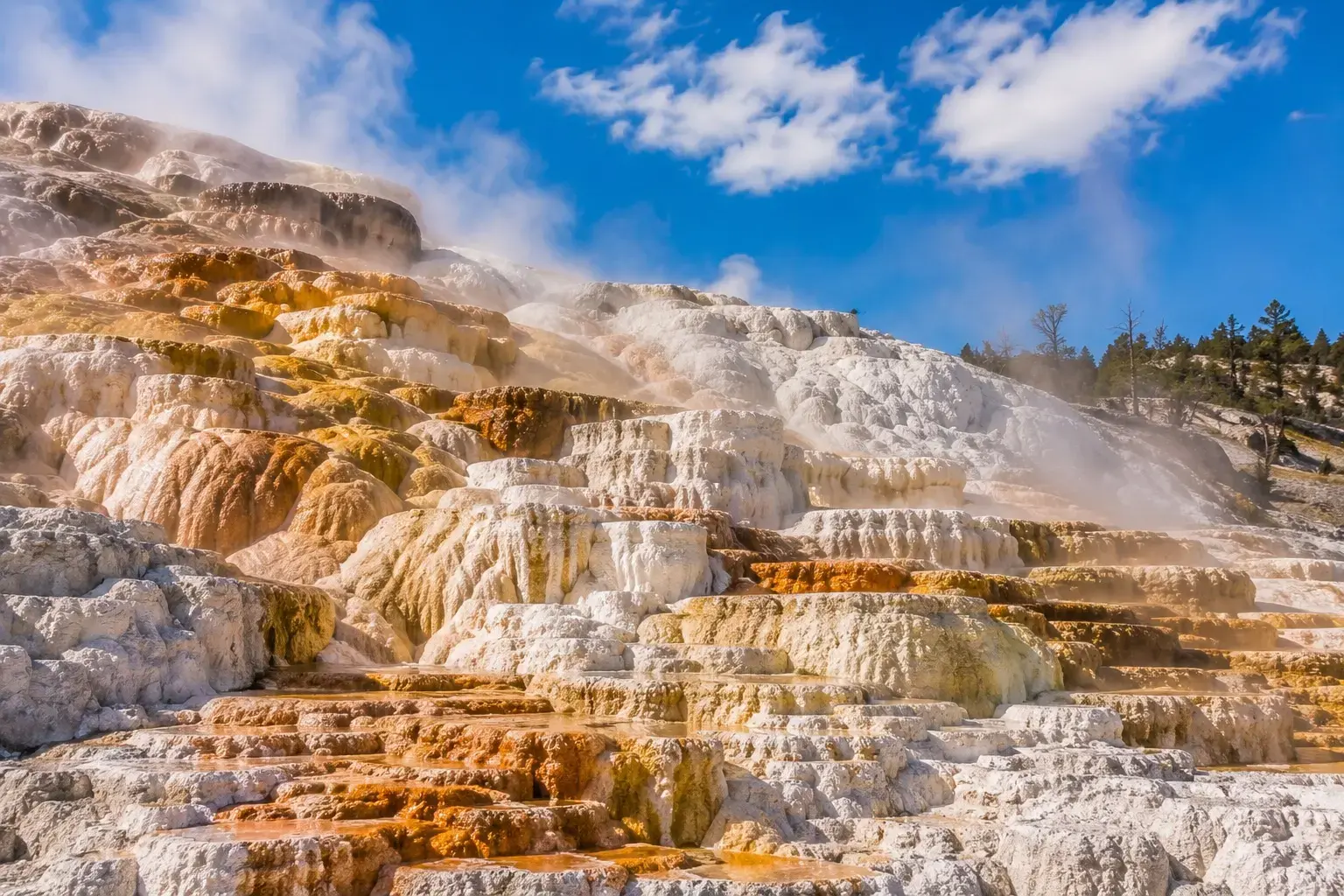 Adventure Quest artwork for the Mammoth Hot Springs adventure.