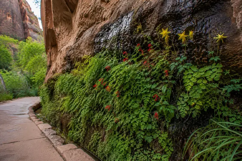 Adventure Quest artwork for the “Hanging Gardens at Eye Level” mission in Riverside Walk.