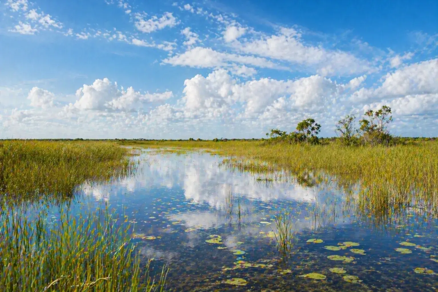 Adventure Quest artwork for the Everglades Explorer adventure.