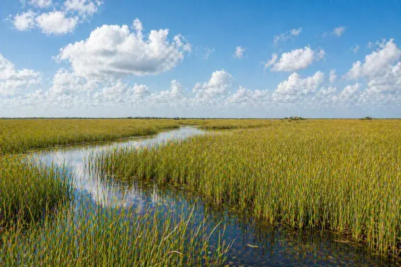 Adventure Quest artwork for the “Grass River” mission in Everglades Explorer.