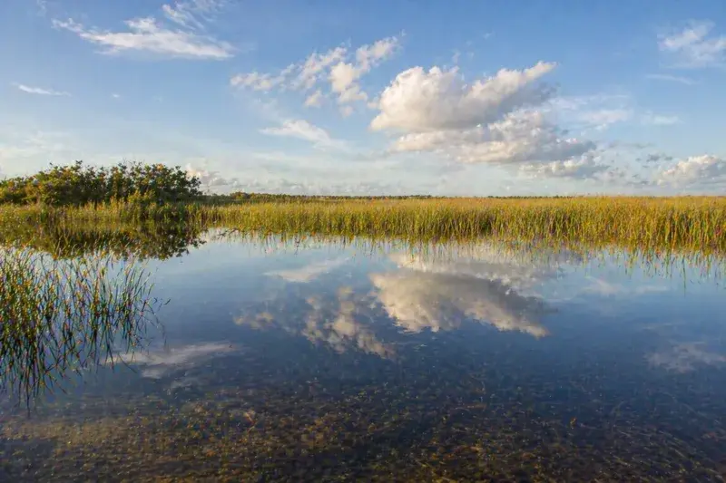 Adventure Quest artwork for the “Stillness Moment” mission in Everglades Explorer.