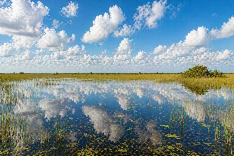 Adventure Quest artwork for the “Sky + Water” mission in Everglades Explorer.