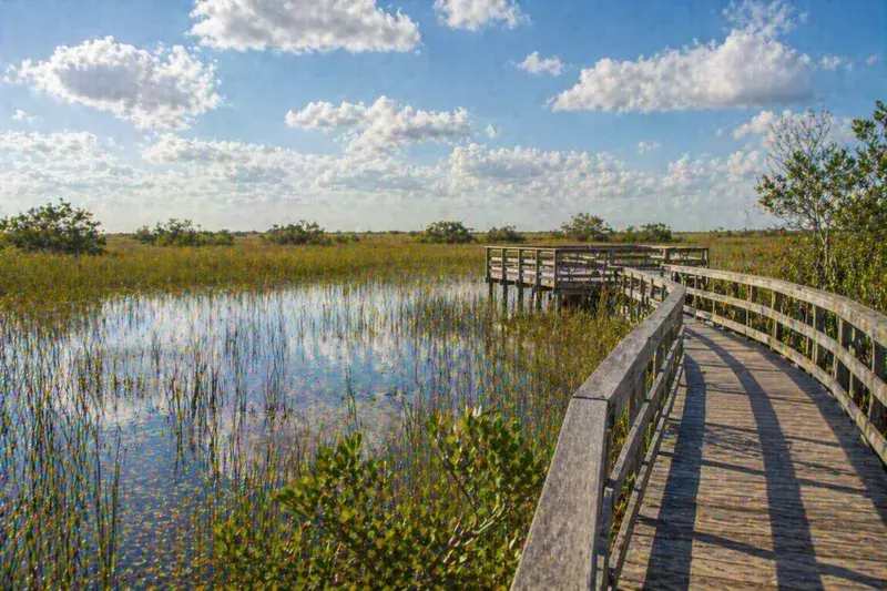 Adventure Quest artwork for the “Protection Matters” mission in Everglades Explorer.