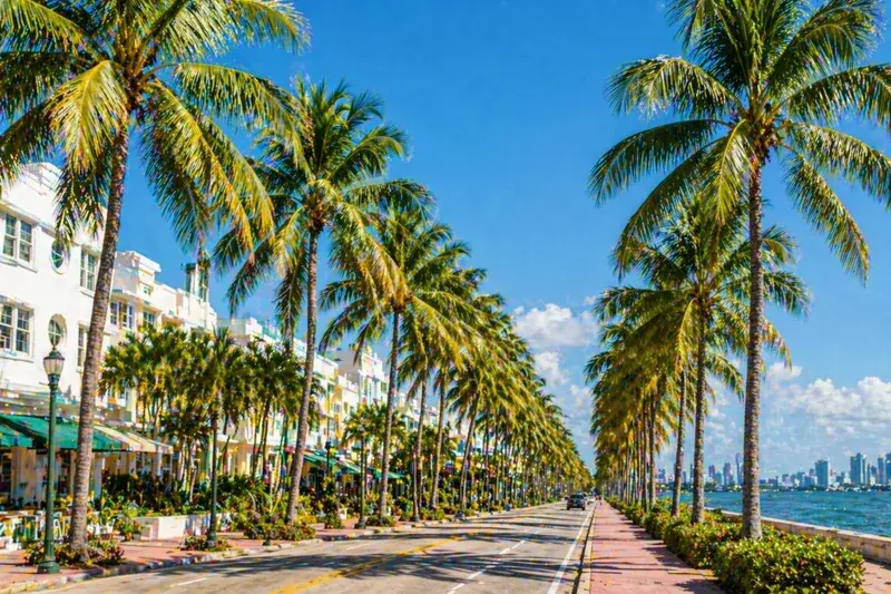 Adventure Quest artwork for the “Palm Line” mission in Miami Explorer.